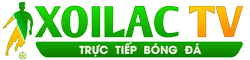 lịch bóng đá hom nay